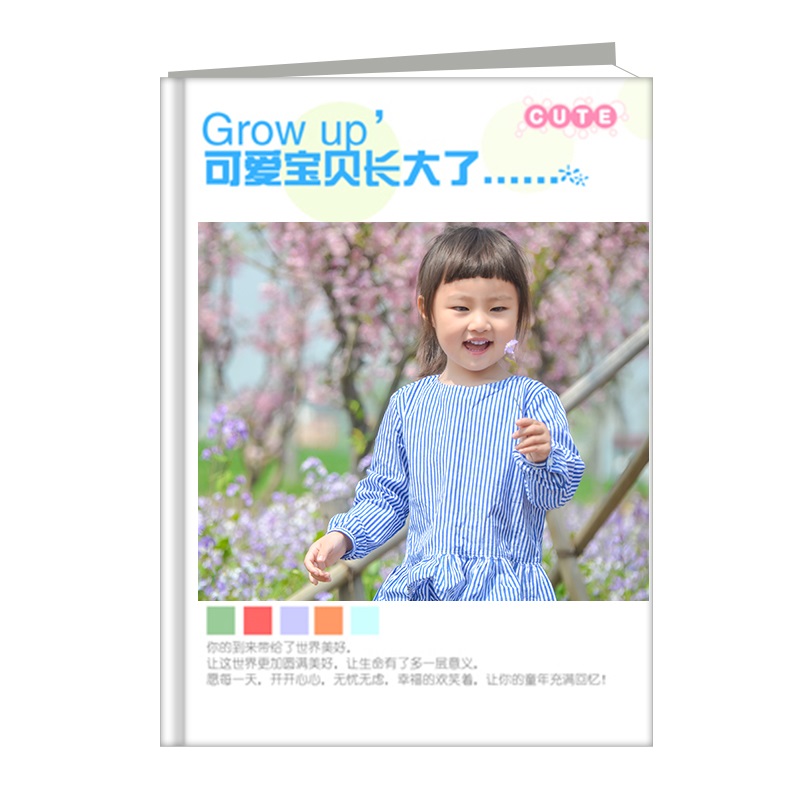 精装影楼相册12寸竖款